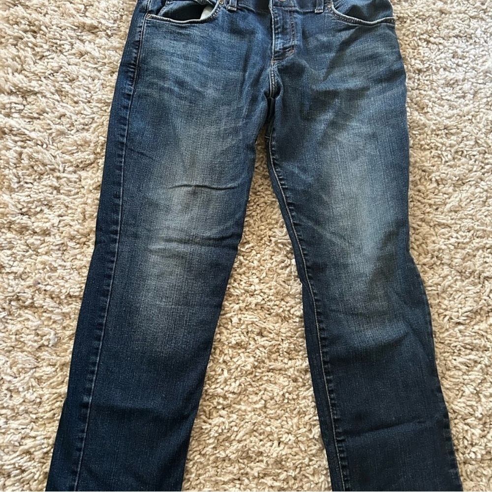 Lee Men's Straight Fit Blue Jeans